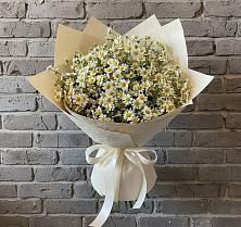 Букет цветов из:  Ромашки в Петропавловской Республики Чечня