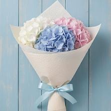 Букет цветов из:  Гортензия в Петропавловской Республики Чечня