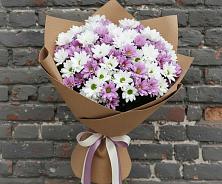 Букет цветов из:  Хризантемы в Петропавловской Республики Чечня