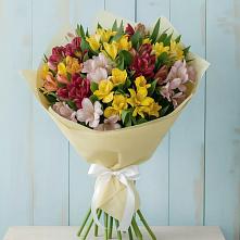Букет цветов из:  Альстромерии в Петропавловской Республики Чечня