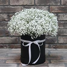 Цветочная композиция из Гипсофила в шляпной коробке в Петропавловской Республики Чечня