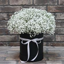 Цветочная композиция из Гипсофила в шляпной коробке в Петропавловской Республики Чечня