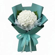 Букет цветов из:  Гортензия в Петропавловской Республики Чечня
